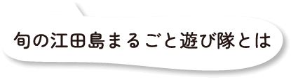旬の江田島まるごと遊び隊とは